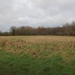 Undated road Radford Semele
