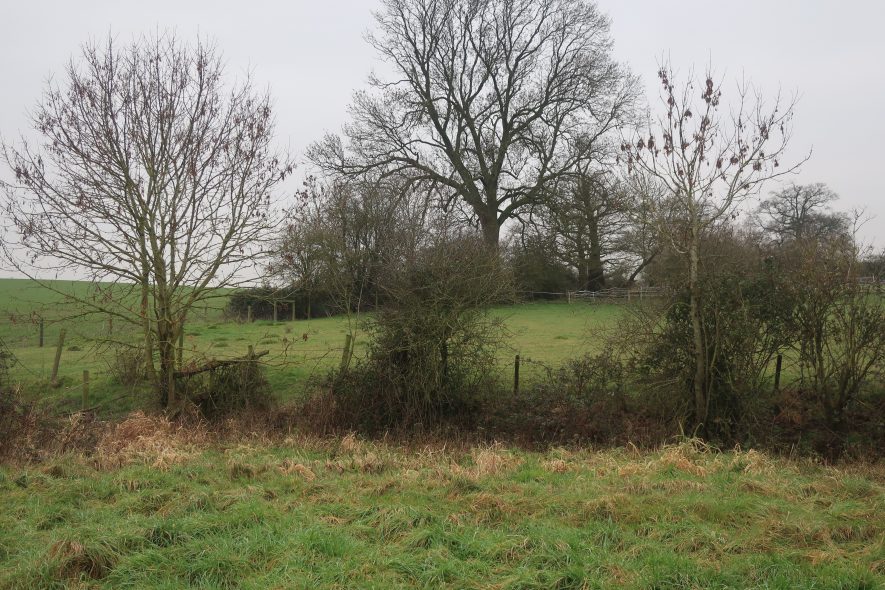 Site of undated Building 300m south east of Hill Farm | Image courtesy of Gary Stocker.