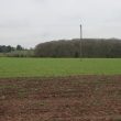Findspot - Roman Pottery