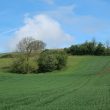 Possible Barrows West of Print Wood, Long Itchington