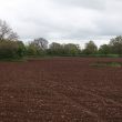 Stone pits west of Oakley Wood