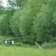 Site of stocks at Lower Ettington