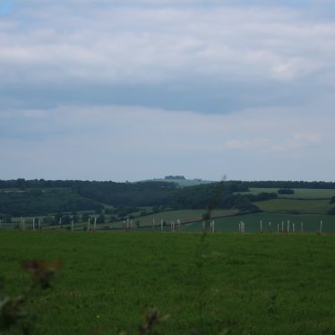 Site of Iron Age Settlement 200m NE of King Stone