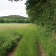Site of Possible Hermitage 500m South of Alcock's Arbour, Haselor.