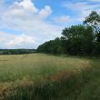 Anglo-Saxon Cemetery 300m N of Lighthorne Church