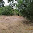 Site of C17 Baginton Hall 100m N of Church