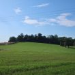 Windmill at Mill Hill Plantation, Edstone