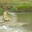 Site of Possible Watermill at Newbold on Avon