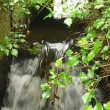 Aston Cantlow Mill