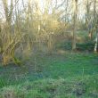 Lime kilns in Bannam's Wood