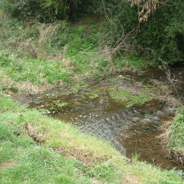 Site of Kenilworth Mill. This may be it, it certainly suggests a mill it is alongside the footpath running from Abbey Fields and shows where a dry channel joins Finham Brook. 2019. | Image courtesy of William Arnold