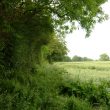 Undated Trackway at Edge Lane