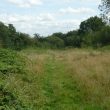 Site of Mineral Railway at Ansley Hall Colliery