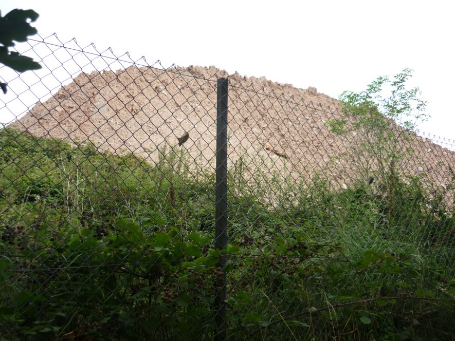 Spoil heap on the south edge of Hartshill quarry as viewed from the public footpath, 2019. | Image courtesy of William Arnold