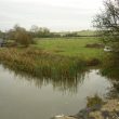 Bascote Wharf 350m N of Bascote