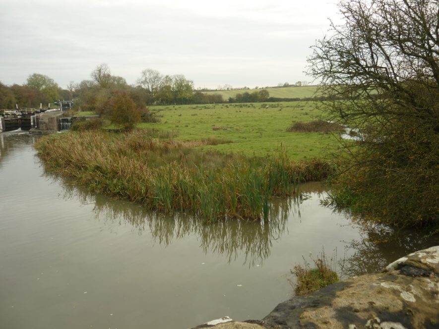 This may be the site of Bascote Wharf. It is at the Leamington end of the Bascote Locks. 2019 | Image courtesy of William Arnold