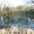 Poss fishpond, N of Cryfield Ho (Warwick Uni Eval)
