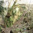 Quarry 250m west of Stareton