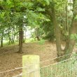 Mill Mound 300m NW of Claverdon Station