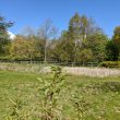 Site of Post Medieval Manor House to North of Church, Honiley.