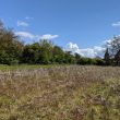 Honiley Medieval Settlement