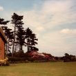 The Spring garden, Kenilworth
