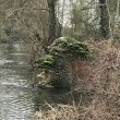 Site of Abbots Salford Mill