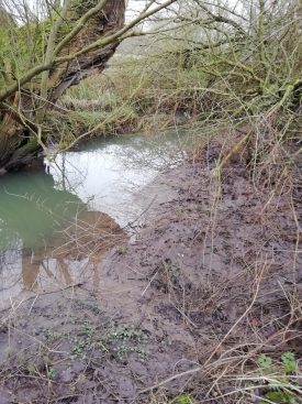Slow moving stream cutting across photo with overhanging branches behind, muddy ground in foreground | Image courtesy of Gary Stocker, February 2020
