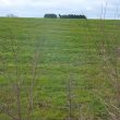 Ridge and Furrow Near Cubbington Primary School