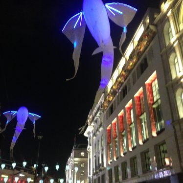 Aquatic light displays of a different nature, London Lumiere 2016. | Image courtesy of Wendy Joyner