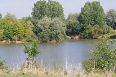 Evening Chorus at Ryton Pool Country Park