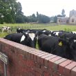 Our Warwickshire Website Events 2016