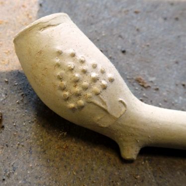 17th Century clay pipe found in the excavation, with mulberry tree decoration. | Image courtesy of Andy Isham, Heritage and Culture Warwickshire
