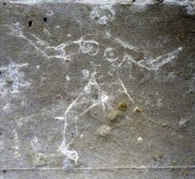 The outline of a woman carved into the wall at Market Hall Museum. | Image courtesy of Andy Isham, Heritage and Culture Warwickshire