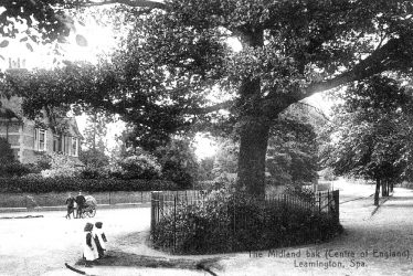 Leamington Spa.  Midland Oak
