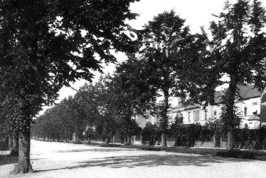 Leamington Spa.  Beauchamp Avenue