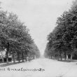 Leamington Spa.  Binswood Avenue