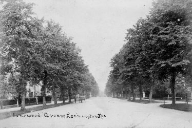 Leamington Spa.  Binswood Avenue