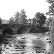 Leamington Spa.  Motor boats on the River Leam