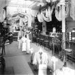 Leamington Spa.  E. Francis & Sons
