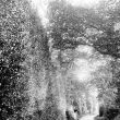 Hatton.  Country lane