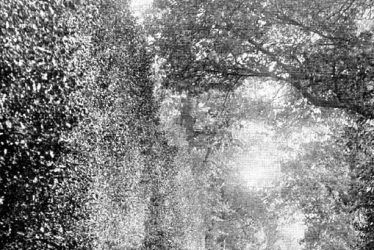 Hatton.  Country lane