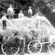 Hatton.   Asylum, haymaking at the farm