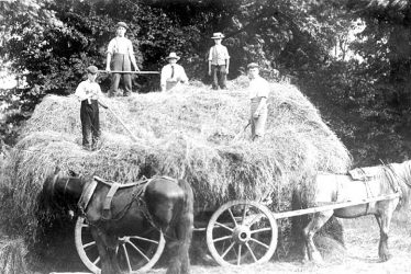 Hatton.   Asylum, haymaking at the farm