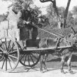 Nuneaton.  Old peddler