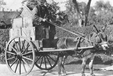 Nuneaton.  Old peddler