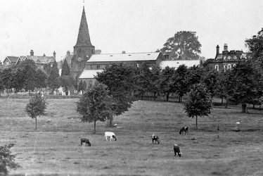Kenilworth.  Abbey Fields