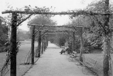 Leamington Spa.  Jephson Gardens, The Rose Walk