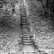 Edgehill.  Jacobs Ladder