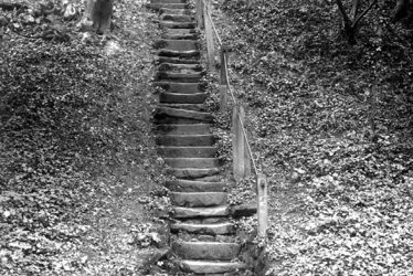 Edgehill.  Jacobs Ladder